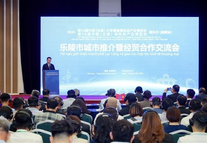 china s laoling city promotes trade, investment in hcm city picture 1