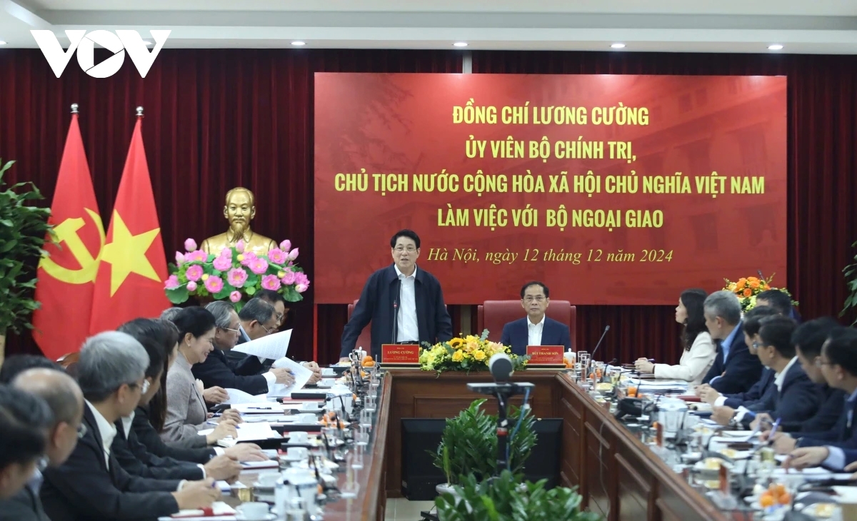 ngoai giao viet nam 80 nam xay dung, truong thanh cung dat nuoc hinh anh 2