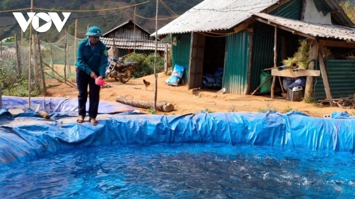 vietnam ranks 6th globally in sturgeon production picture 1 vietnam ranks 6th globally in sturgeon production picture 1
