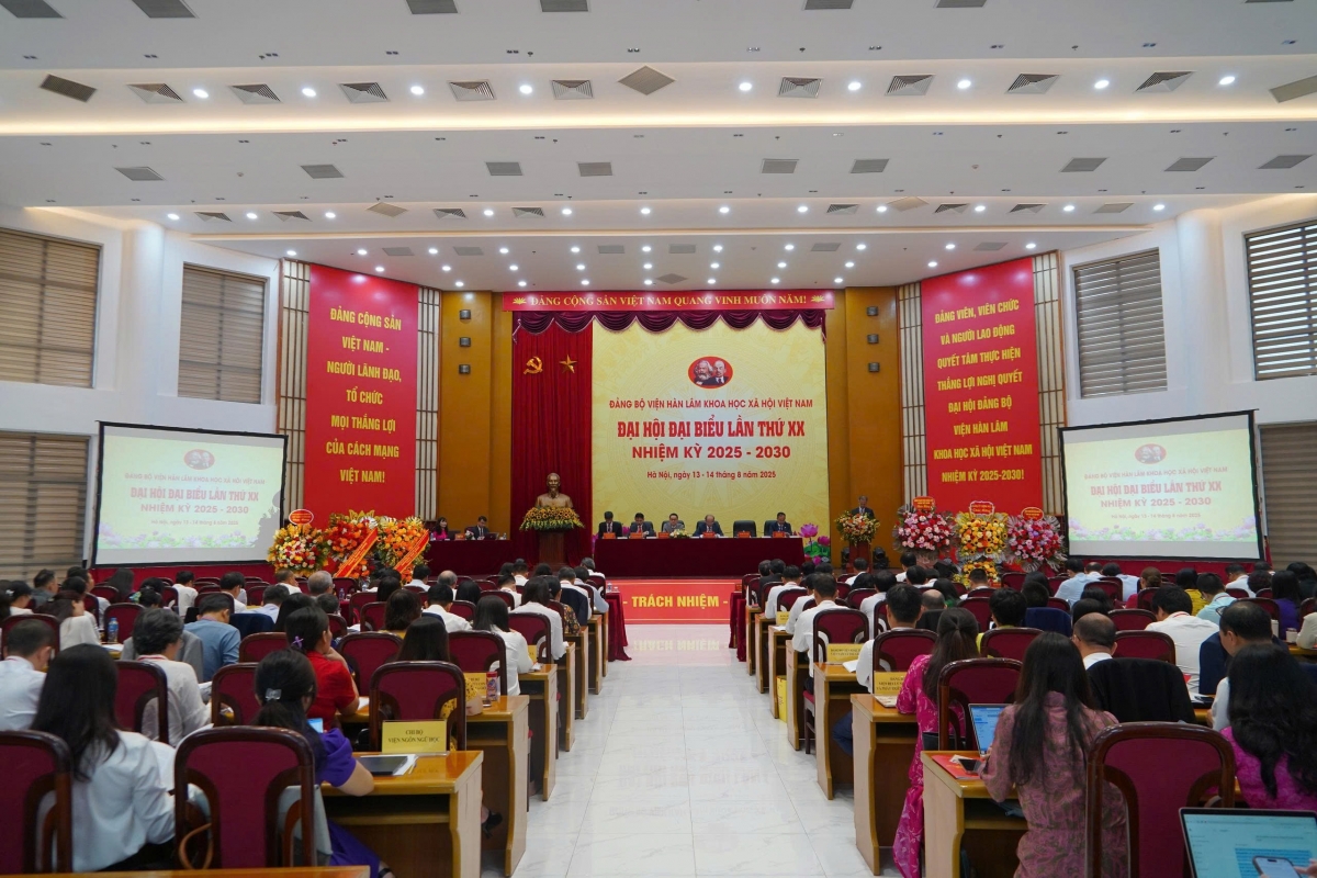 pho thu tuong du Dai hoi Dang bo vien han lam khoa hoc xa hoi viet nam hinh anh 3