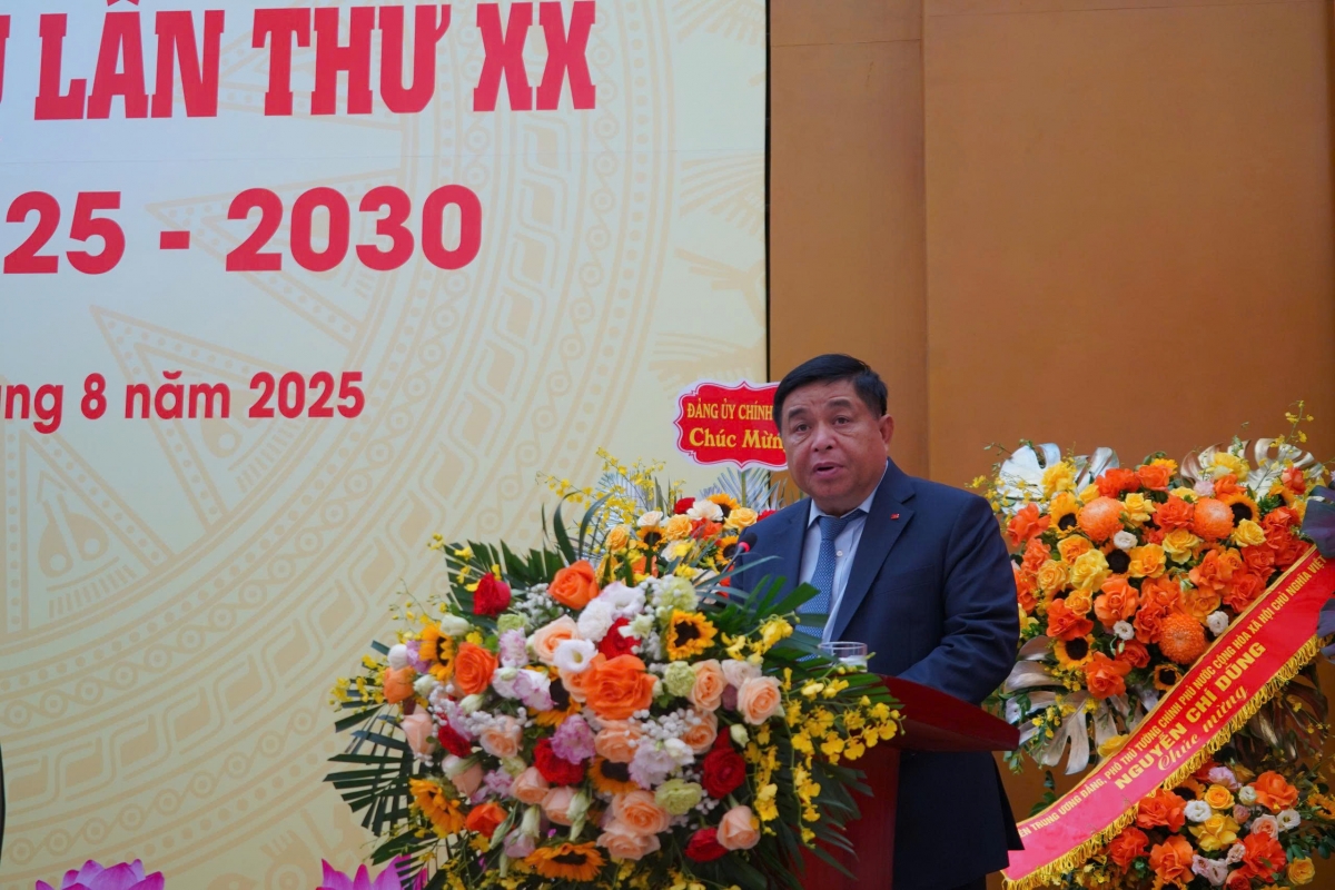 pho thu tuong du Dai hoi Dang bo vien han lam khoa hoc xa hoi viet nam hinh anh 1