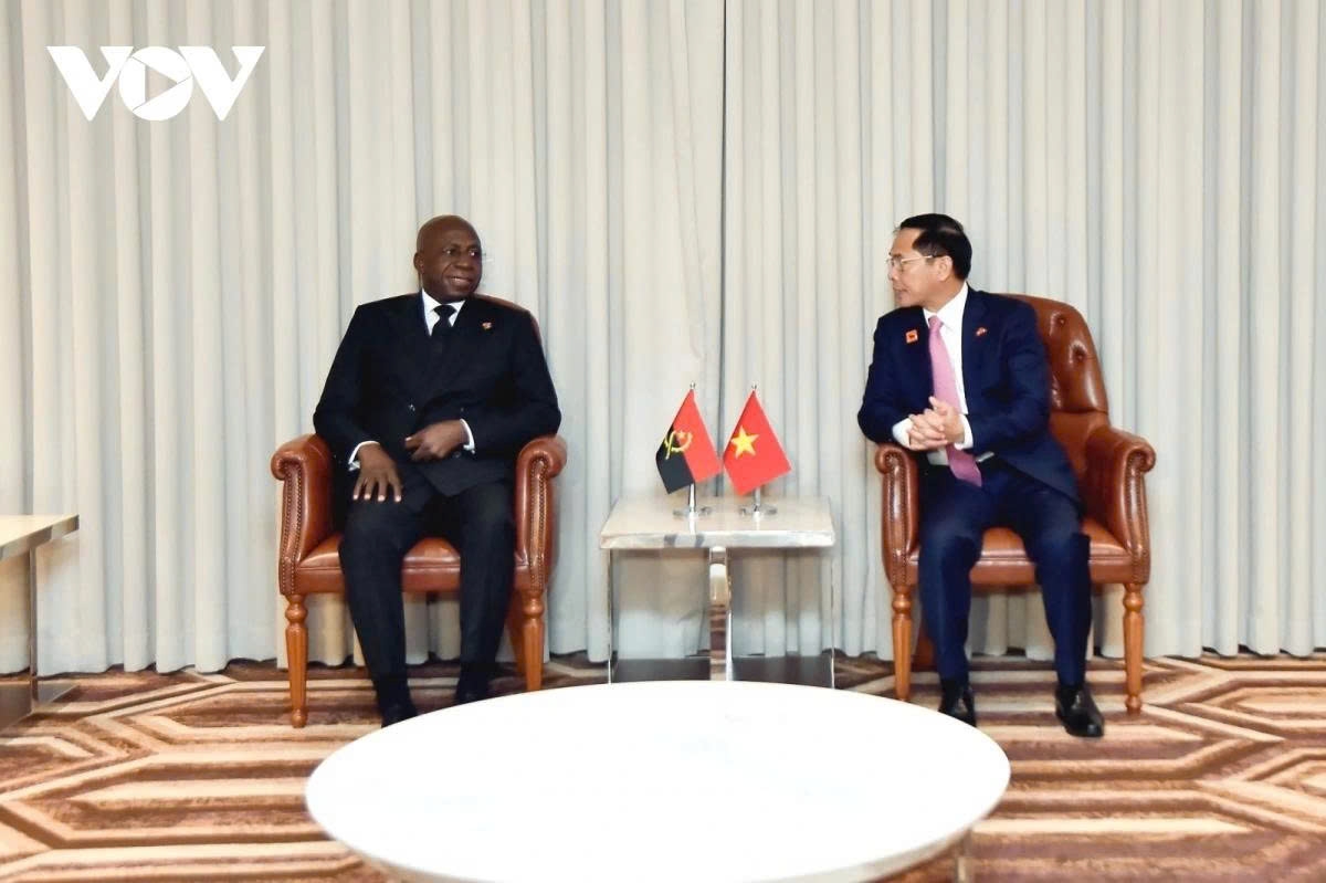 vietnam and angola vow to realise outcomes of president luong cuong s angola visit picture 1