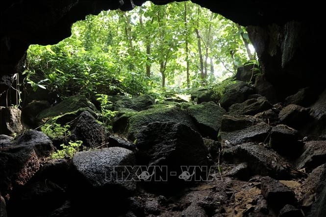 beneath vietnam s forest, a cave system ranks among southeast asia s longest picture 1 beneath vietnam s forest, a cave system ranks among southeast asia s longest picture 1