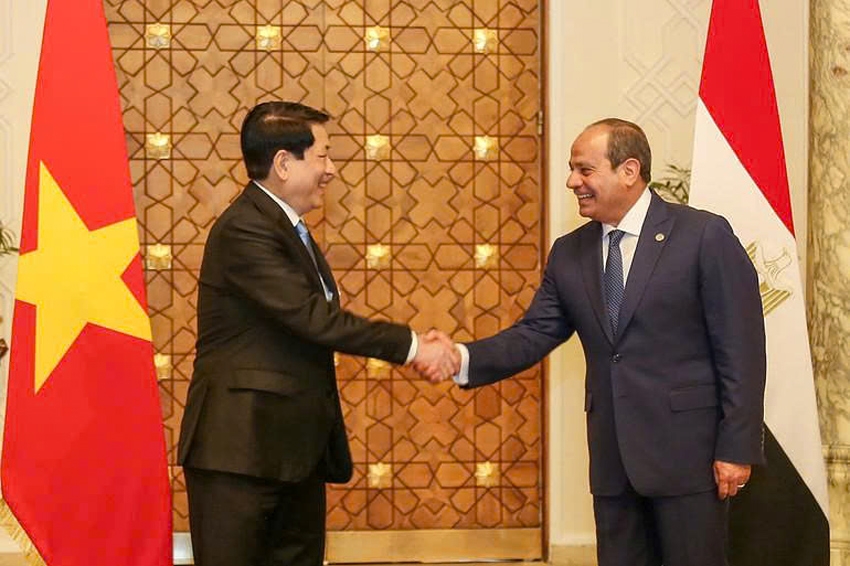 vietnam and egypt elevate bilateral relations to comprehensive partnership picture 1 vietnam and egypt elevate bilateral relations to comprehensive partnership picture 1