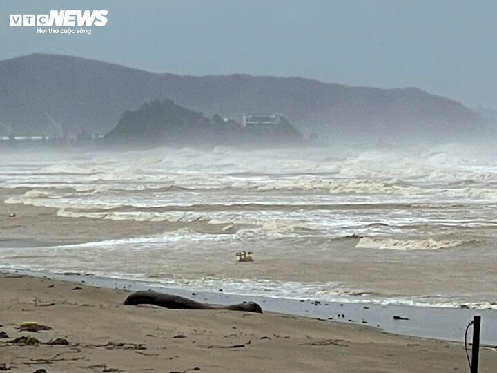 typhoon kajiki brings heavy rain and strong winds after hitting central vietnam picture 8
