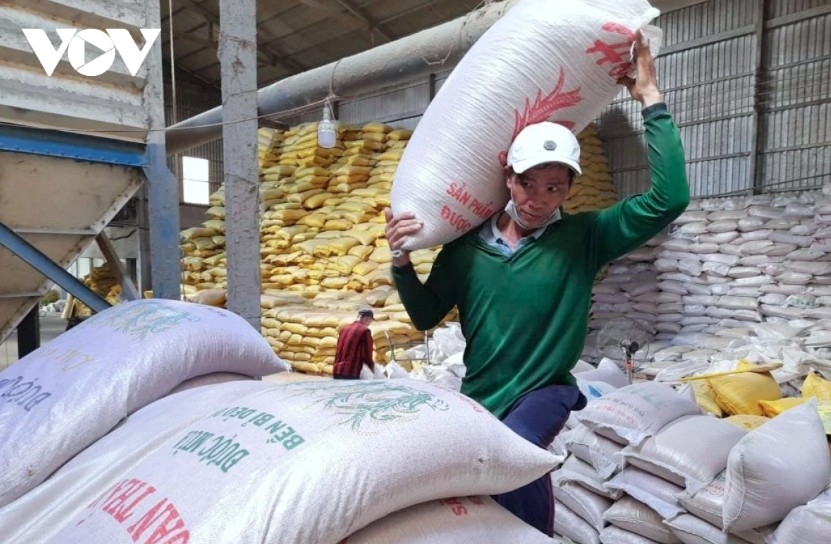 vietnam surpasses thailand to become world s second largest rice exporter picture 1 vietnam surpasses thailand to become world s second largest rice exporter picture 1