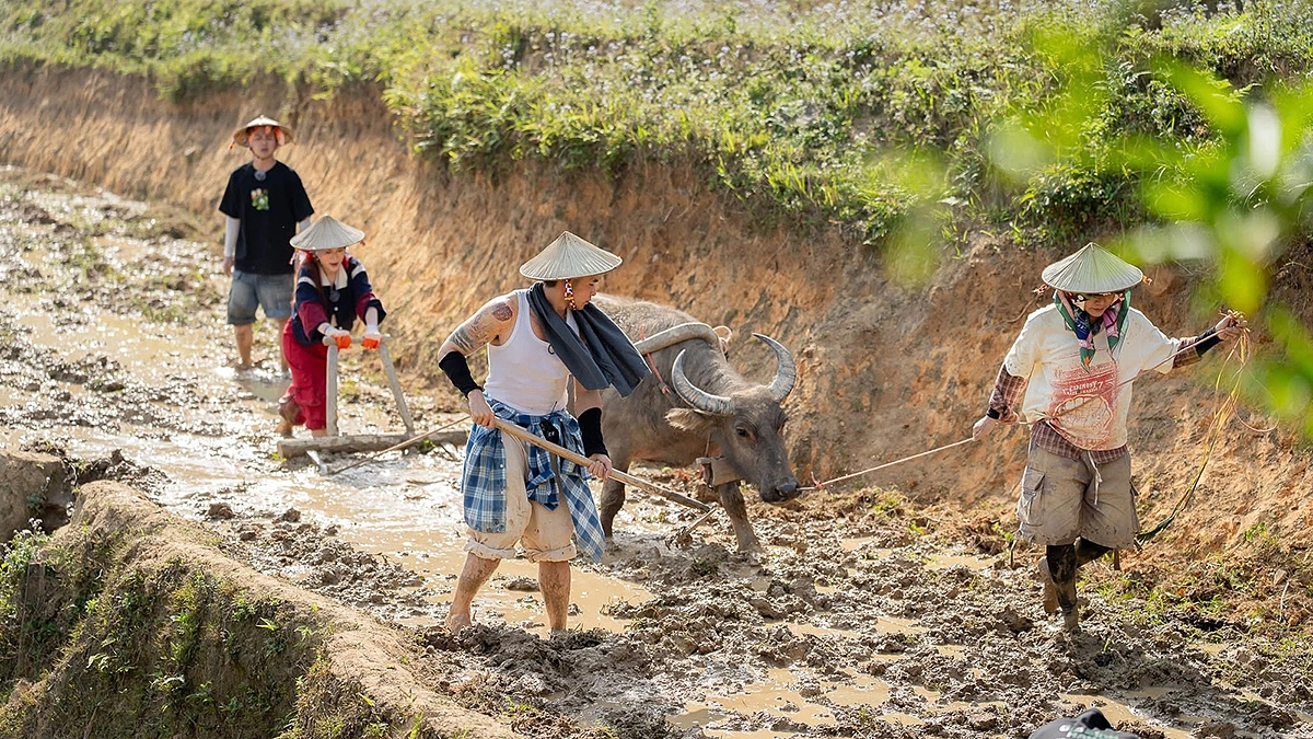 Du lịch Bản Liền đang trở nên nhộn nhịp với nhiều sản phẩm trải nghiệm du lịch nông nghiệp, du lịch cộng đồng gần gũi. Du lịch Bản Liền đang trở nên nhộn nhịp với nhiều sản phẩm trải nghiệm du lịch nông nghiệp, du lịch cộng đồng gần gũi.