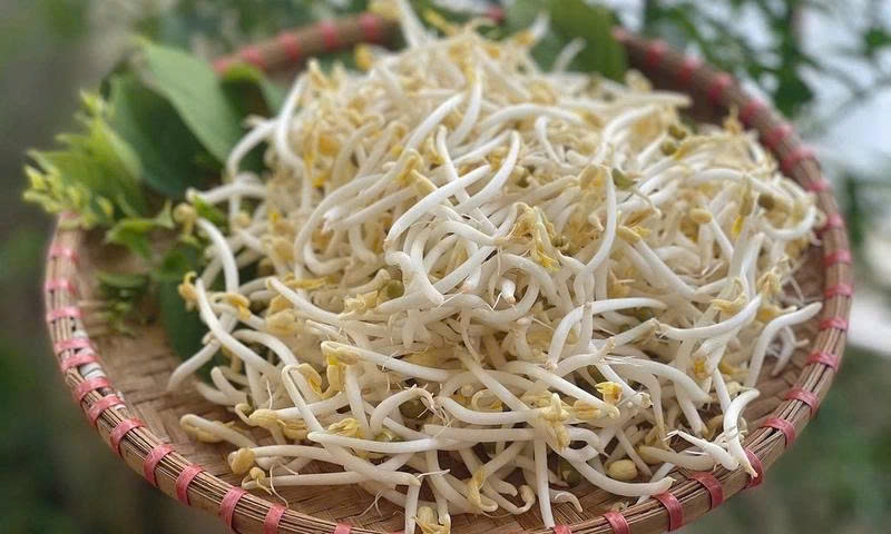 Ăn giá đỗ có giúp tăng cường sinh lý?