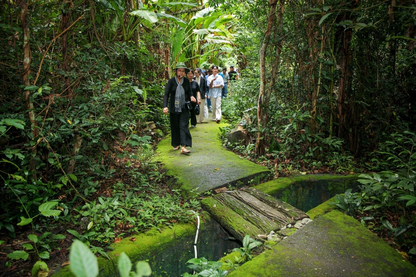  vita green label set to boost vietnam s global sustainable tourism picture 1