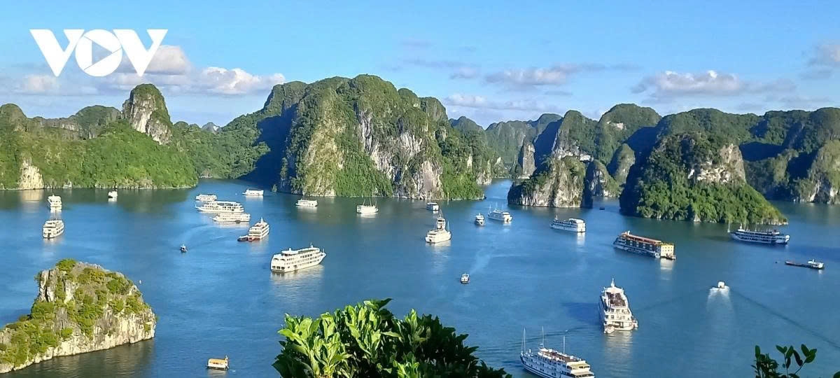 world billionaire to visit quang ninh by helicopter picture 1 world billionaire to visit quang ninh by helicopter picture 1