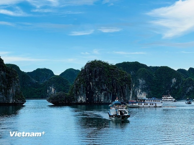 quang ninh eyes storm warning system following tourist boat tragedy picture 1 quang ninh eyes storm warning system following tourist boat tragedy picture 1