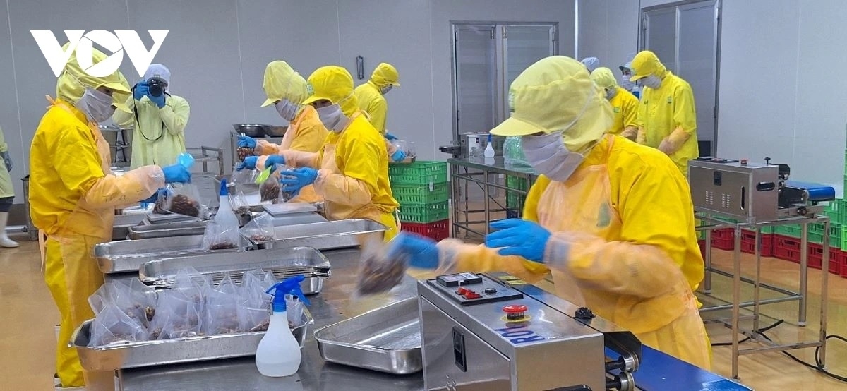 kinh te tu nhan lam the nao de vung xam tro thanh vung sang trong nen kinh te hinh anh 1