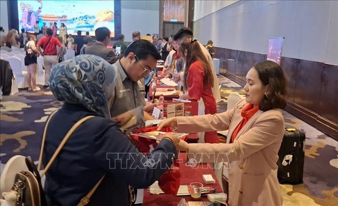 hue and da nang promote central vietnam tourism to malaysian market picture 1