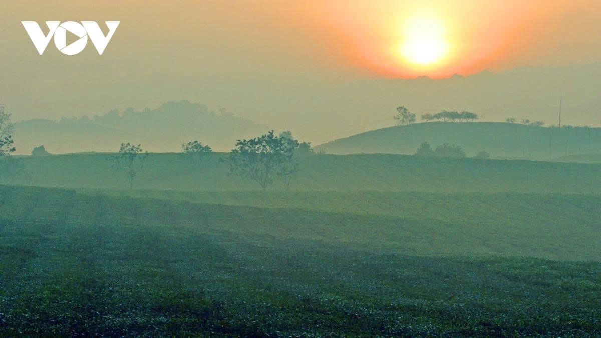 a retreat to the romantic tea hills of moc chau plateau picture 3 a retreat to the romantic tea hills of moc chau plateau picture 3
