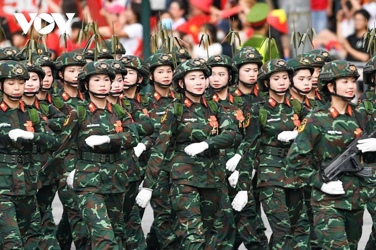 full-dress rehearsal of national day parade in spotlight picture 10