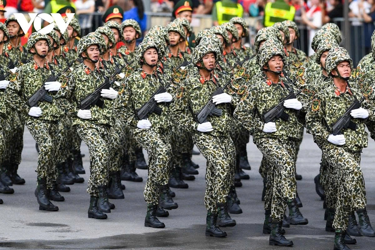 full-dress rehearsal of national day parade in spotlight picture 11