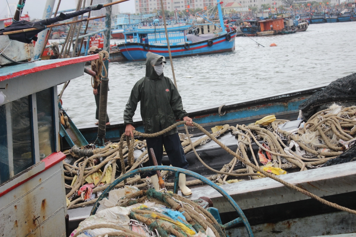 Đà Nẵng triển khai phương án ứng phó bão số 5