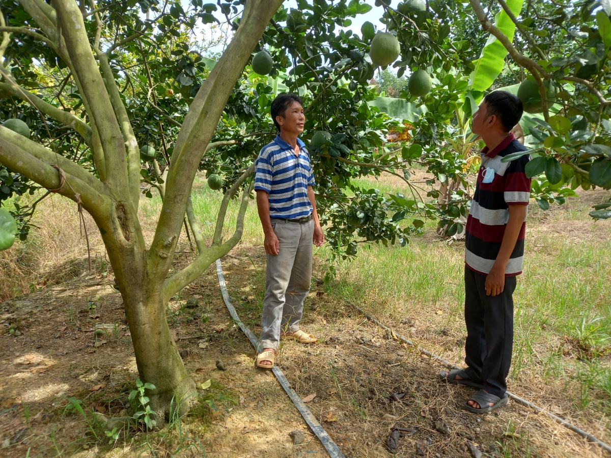 OCOP nông sản miền núi Khánh Hòa đón cơ hội dịp cao điểm du lịch 2/9