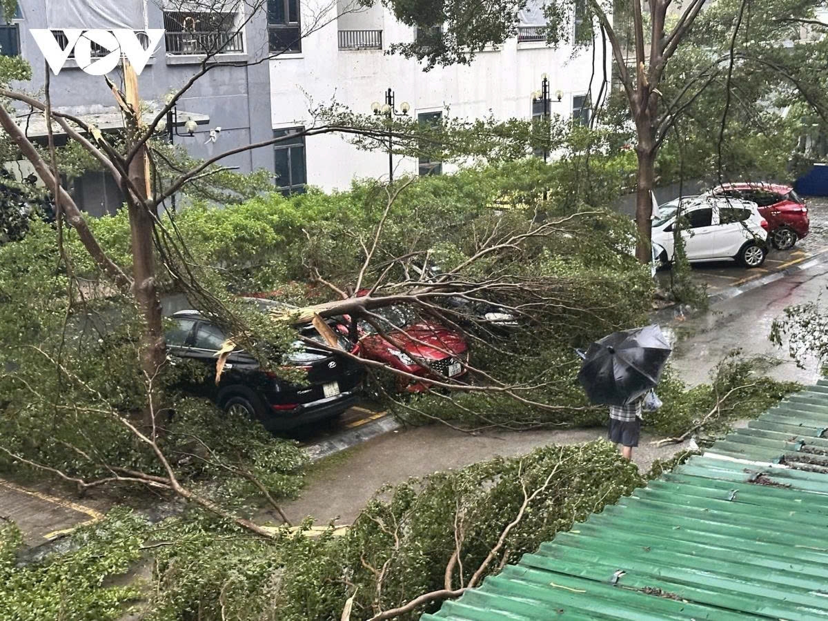 typhoon kajiki wreaks havoc across central vietnam picture 10