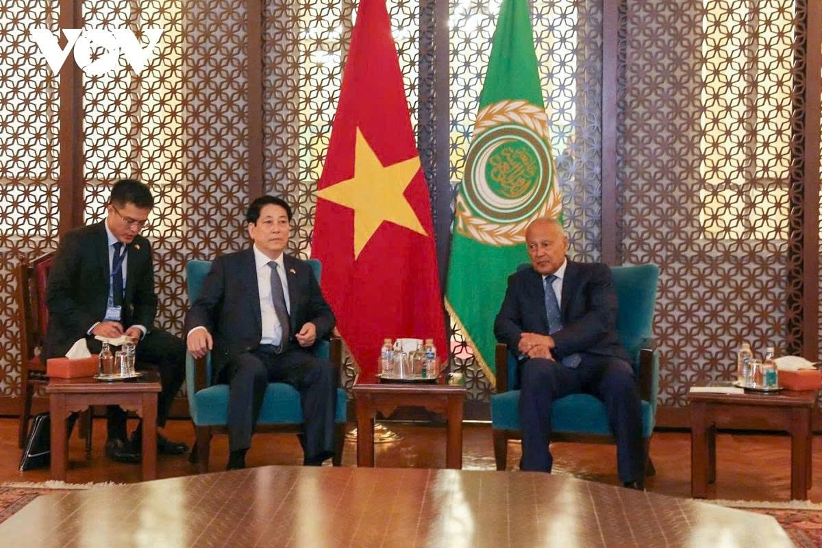 president luong cuong meets with arab league leader ahmed aboul gheit picture 1