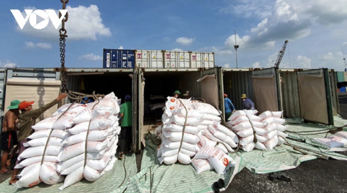vietnamese rice export prices reach new global high picture 1 vietnamese rice export prices reach new global high picture 1