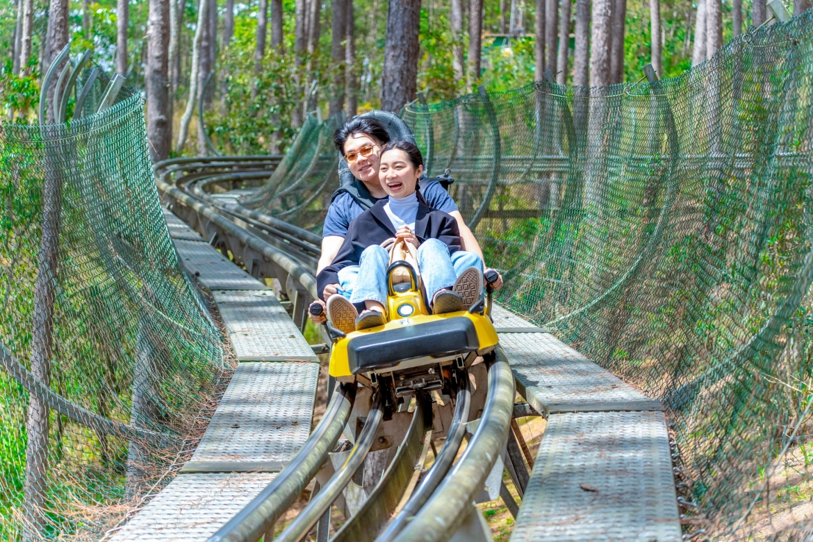 dau an dalattourist o trien lam thanh tuu dat nuoc ky niem 80 nam ngay quoc khanh hinh anh 7
