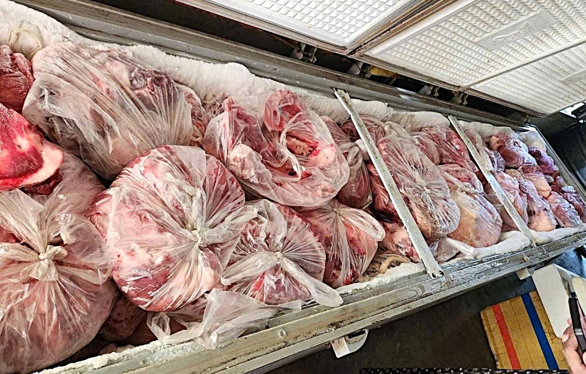 Phát hiện gần 1 tấn thịt lợn nhiễm bệnh được cấp đông tại Nghệ An