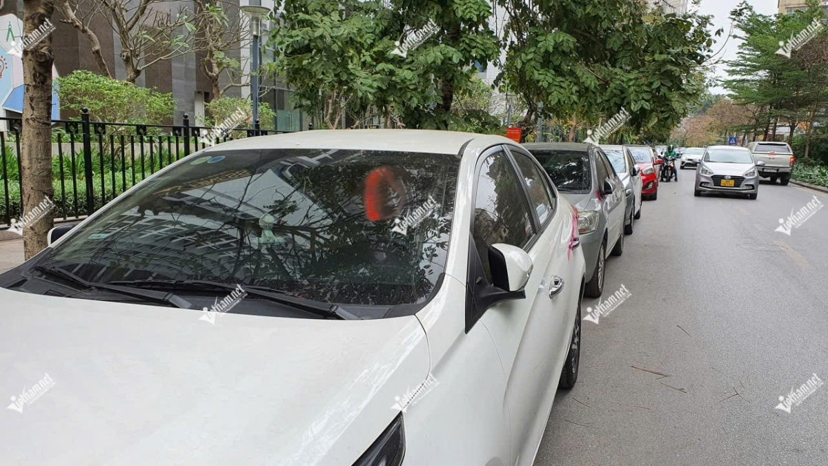 hang xom bang hoang vo chong madam ngo hoa ra la trum lua dao nghin ty hinh anh 1