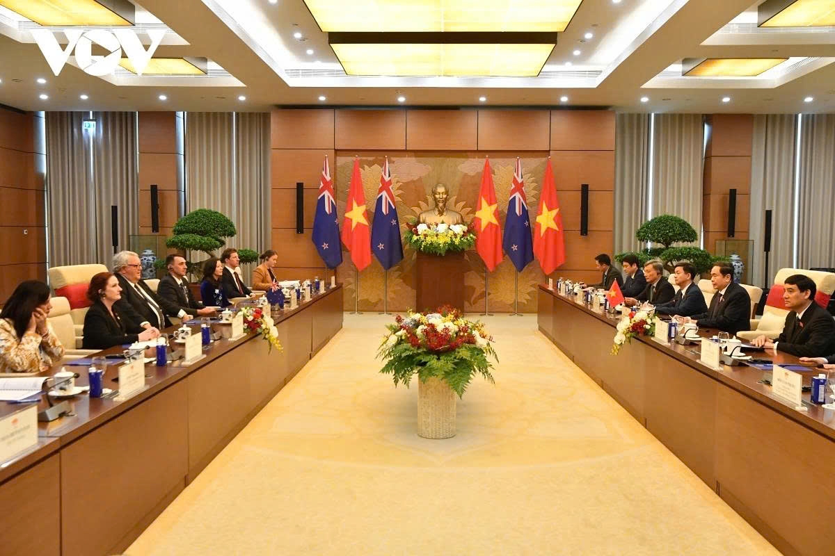 vietnam and new zealand examine measures to raise trade to us 3 bln in 2026 picture 2