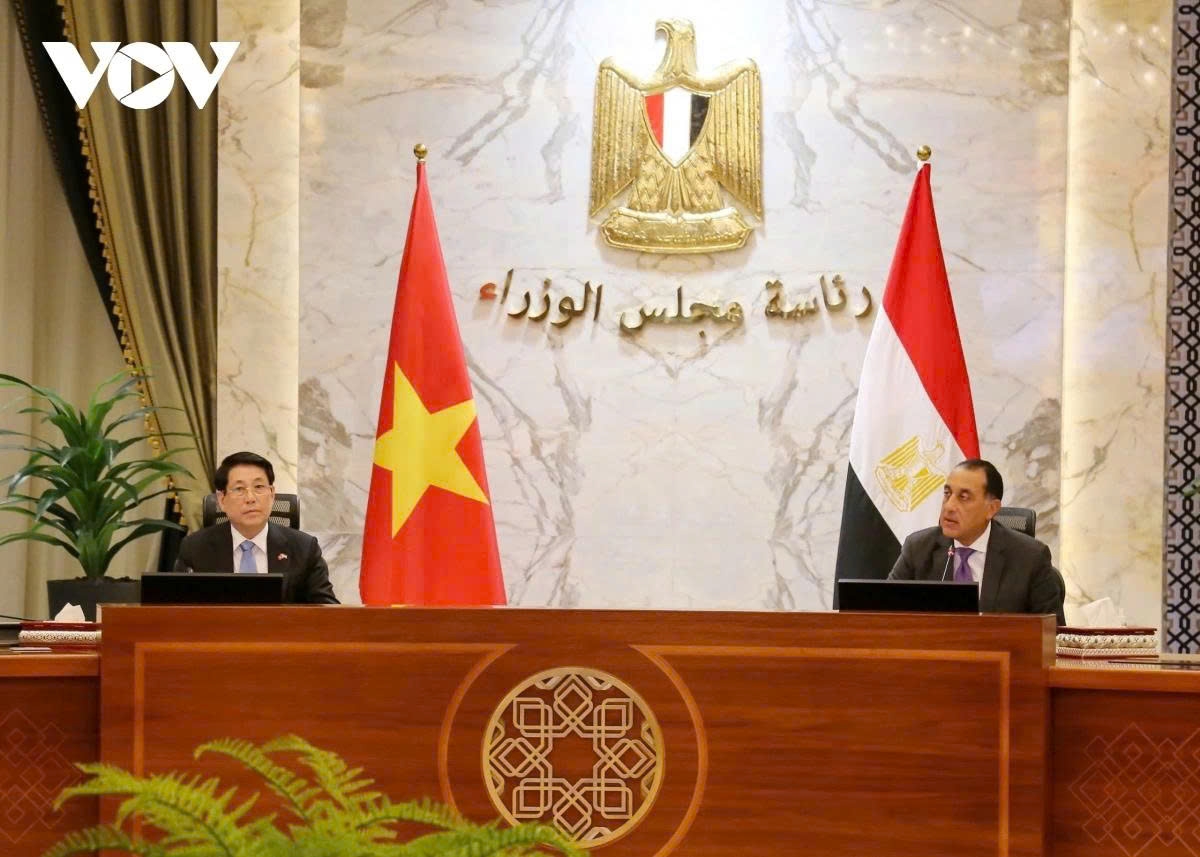 vietnam attaches importance to multifaceted cooperation with egypt picture 1