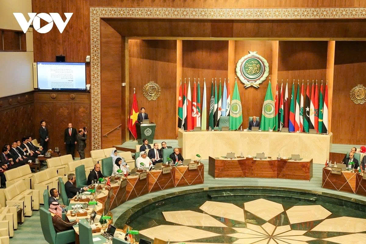 vietnam ready to share development experience, deepen cooperation with arab states picture 1