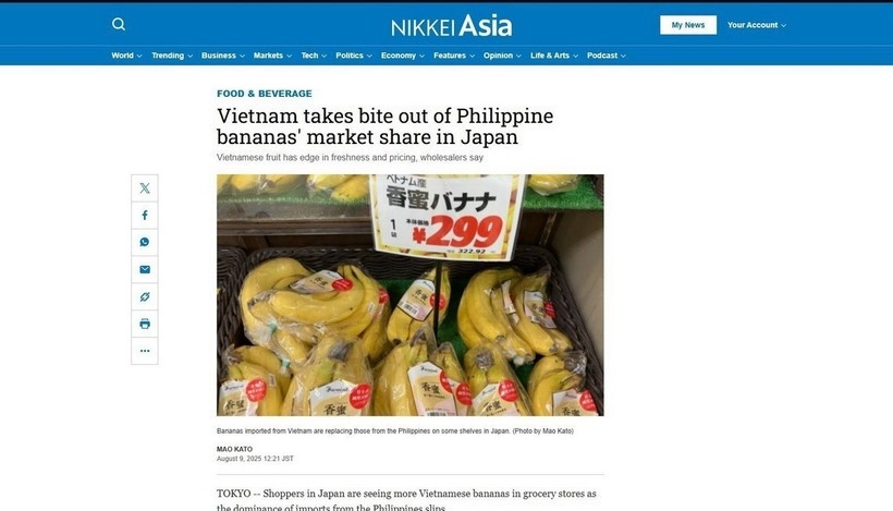 vietnamese bananas gain foothold in japan picture 1