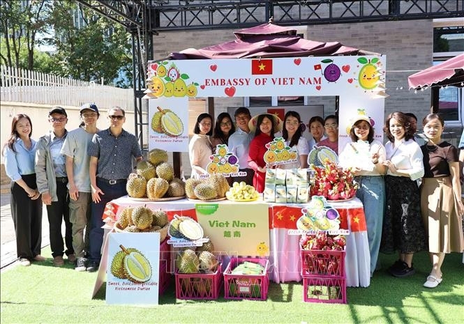 vietnam s durian featured at first asean china durian festival picture 1