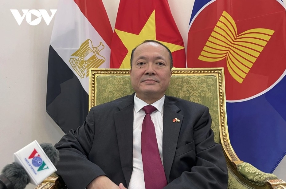 state leader s visit holds strategic significance for vietnam-egypt relations picture 2 state leader s visit holds strategic significance for vietnam-egypt relations picture 2