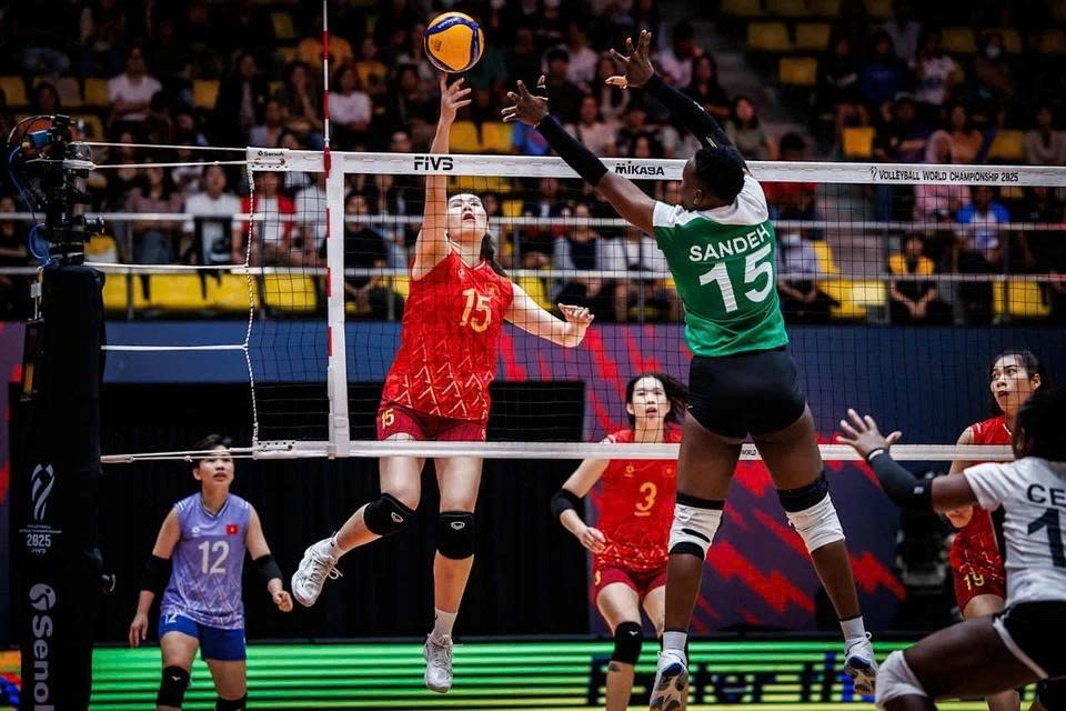 vietnam drop six spots in fivb world rankings following championship losses picture 1 vietnam drop six spots in fivb world rankings following championship losses picture 1