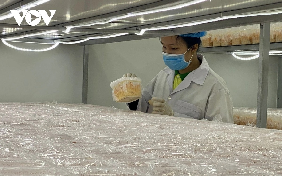 kinh te tu nhan lam the nao de vung xam tro thanh vung sang trong nen kinh te hinh anh 2