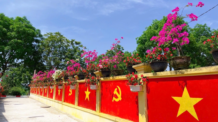 cap vo chong lam con duong sang ruc hinh anh co to quoc va co Dang hinh anh 2