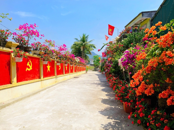 cap vo chong lam con duong sang ruc hinh anh co to quoc va co Dang hinh anh 6