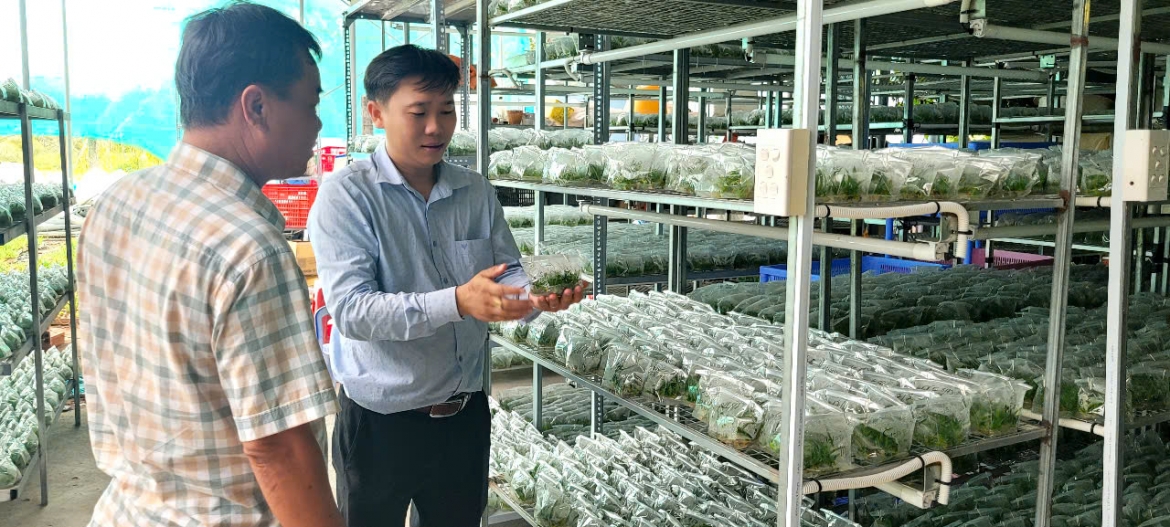 htx cong nghe cao kim phat Dong thap gop phan xay dung mo hinh san xuat tien tien hinh anh 1