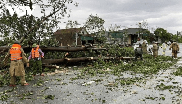 typhoon bualoi wreaks havoc across central vietnam picture 10