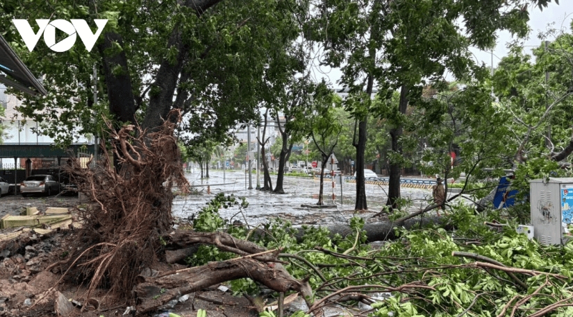 typhoon bualoi wreaks havoc across central vietnam picture 13