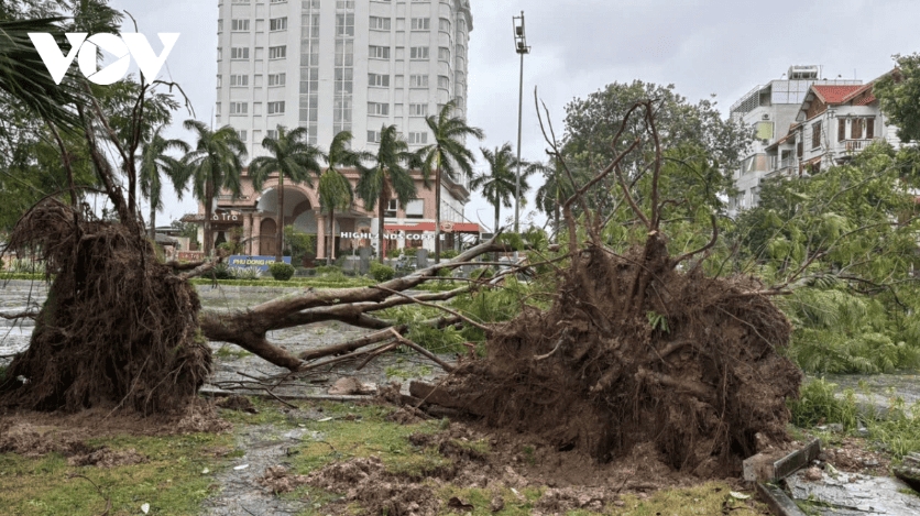 typhoon bualoi wreaks havoc across central vietnam picture 14