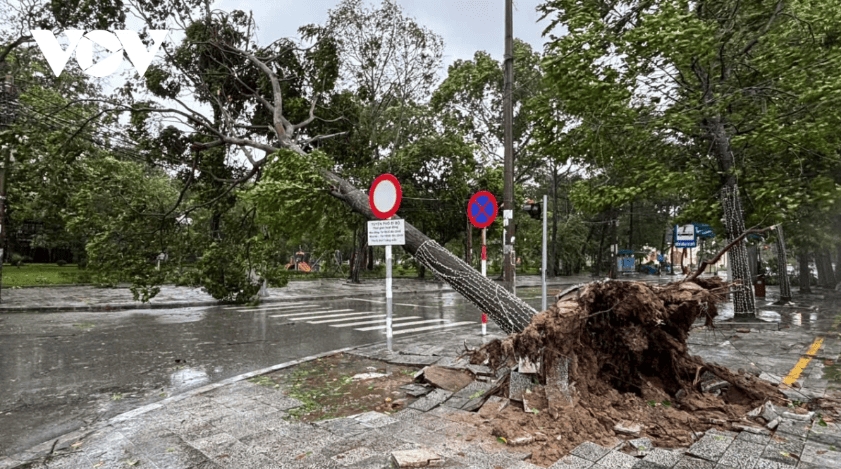 typhoon bualoi wreaks havoc across central vietnam picture 16