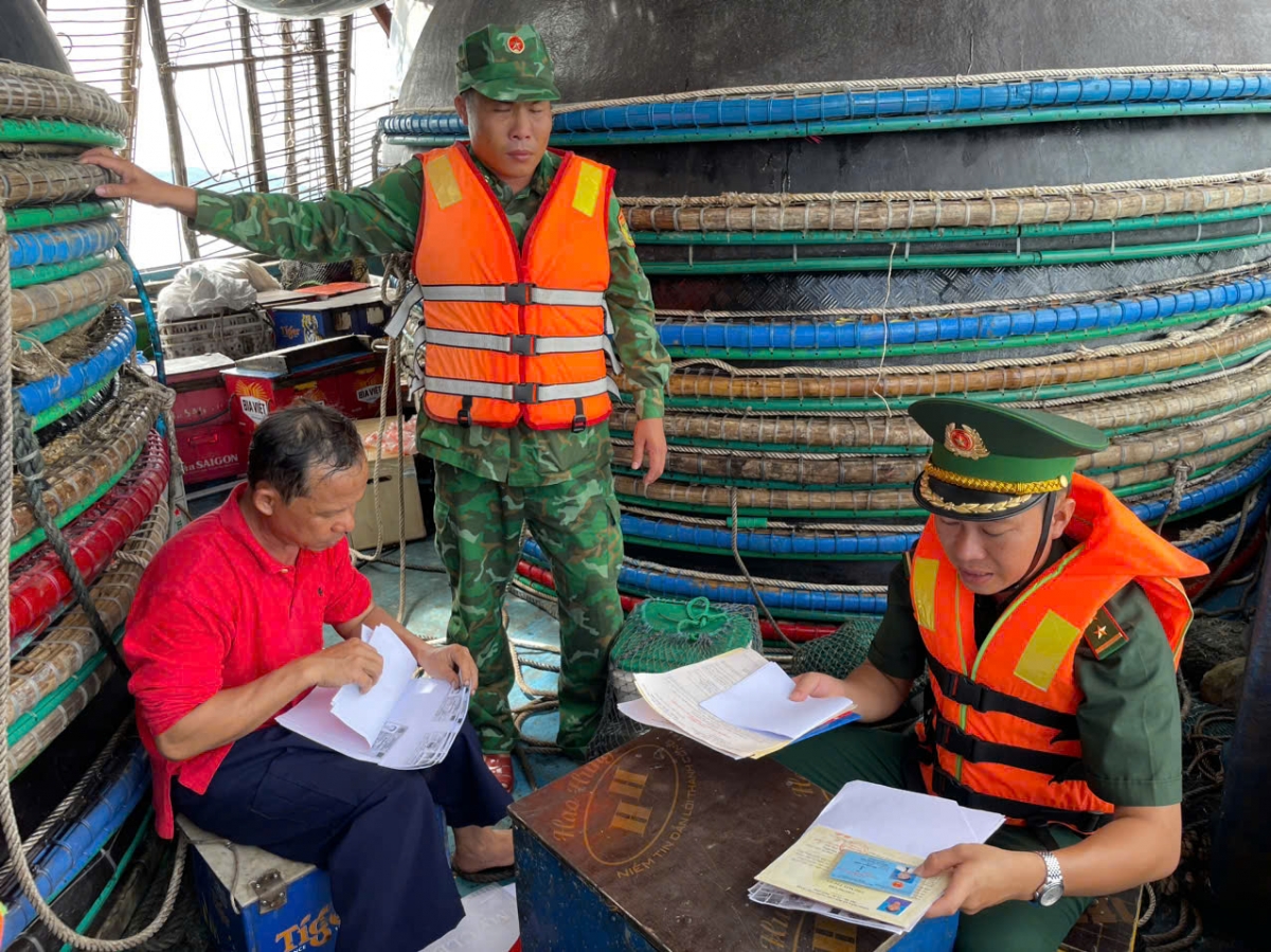 Chống khai thác IUU: Ngư dân Gia Lai thay đổi để bảo vệ sinh kế