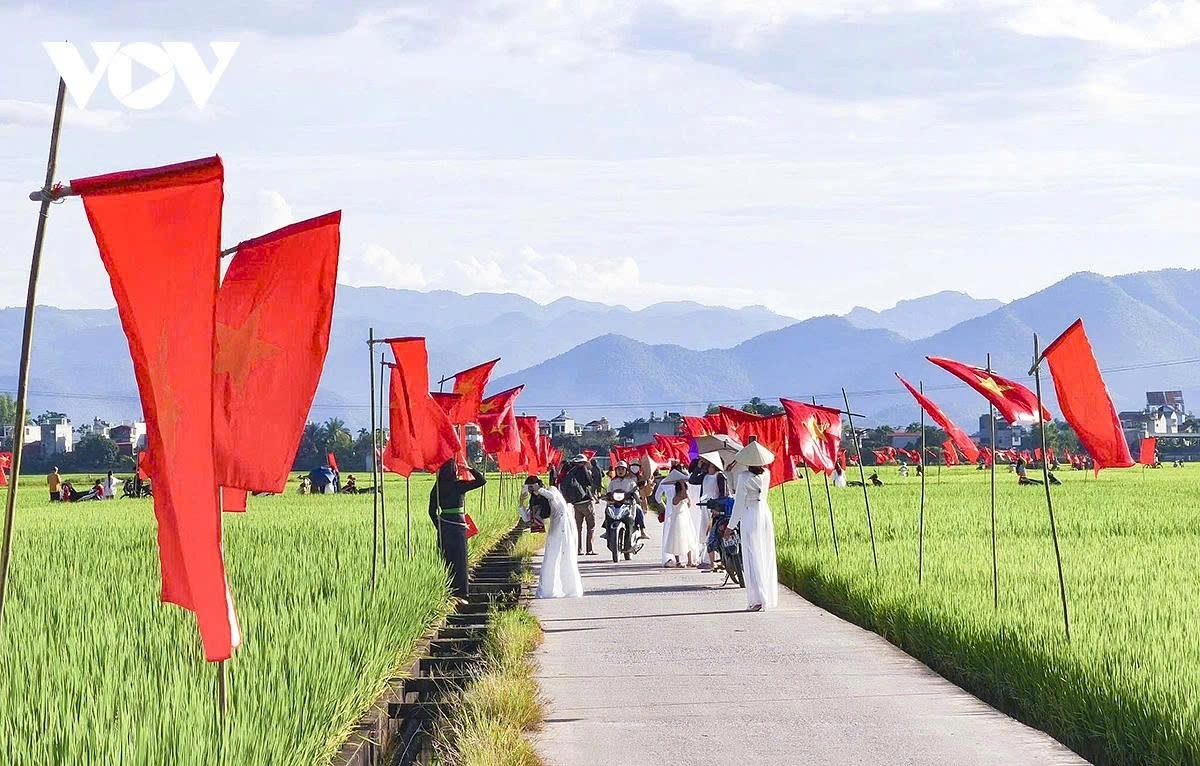 a road of flags national pride flutters across muong thanh rice field picture 2 a road of flags national pride flutters across muong thanh rice field picture 2
