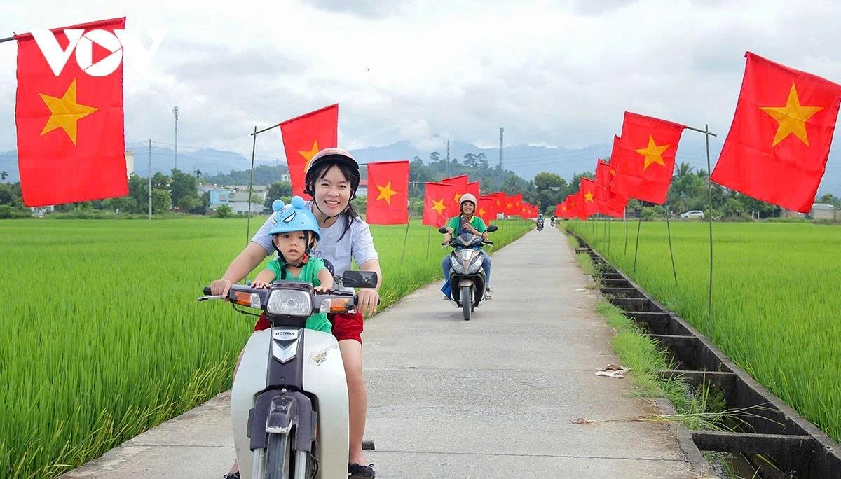 a road of flags national pride flutters across muong thanh rice field picture 4 a road of flags national pride flutters across muong thanh rice field picture 4