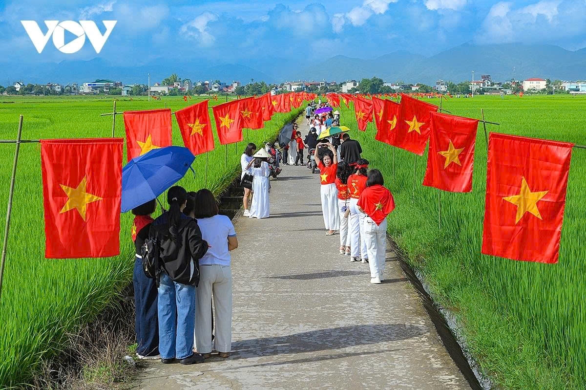 a road of flags national pride flutters across muong thanh rice field picture 5 a road of flags national pride flutters across muong thanh rice field picture 5