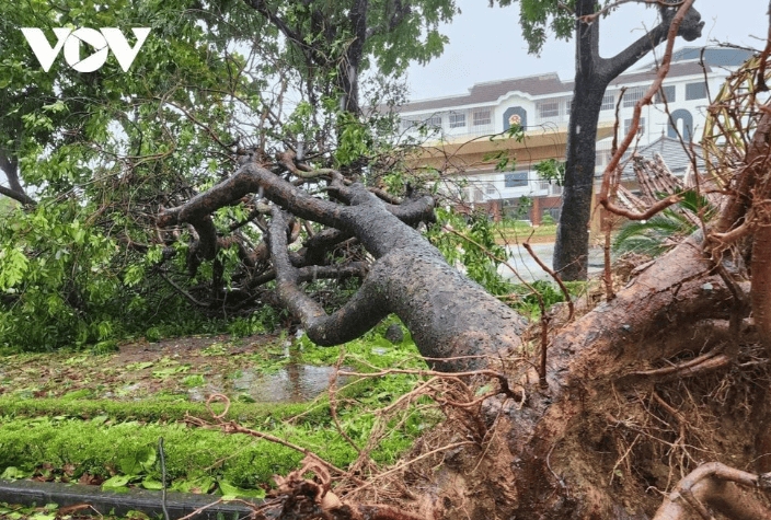 typhoon bualoi wreaks havoc across central vietnam picture 4