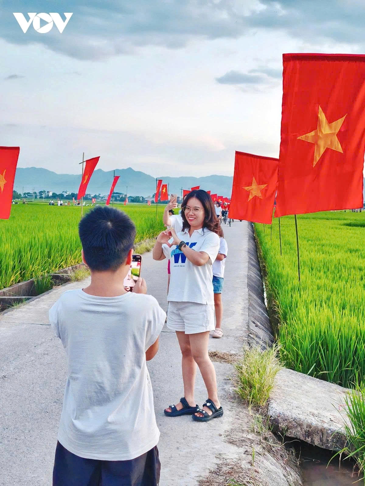 a road of flags national pride flutters across muong thanh rice field picture 6 a road of flags national pride flutters across muong thanh rice field picture 6