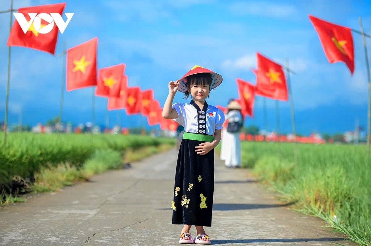 a road of flags national pride flutters across muong thanh rice field picture 8 a road of flags national pride flutters across muong thanh rice field picture 8
